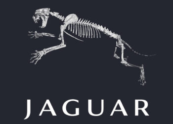 Greenpeace – We Need To End Our Dependency On Fossil Fuels (Spec Work) By Zed Anwar