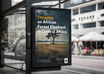 WWF – /imagine (Concept campaign) By Paul Parsons