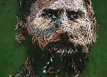 Lay’s — Goats For Messi By D3