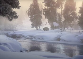 -37F Winter in Yellowstone National Park By Drew Simms