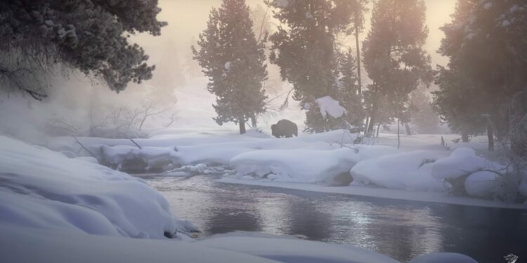 -37F Winter in Yellowstone National Park By Drew Simms