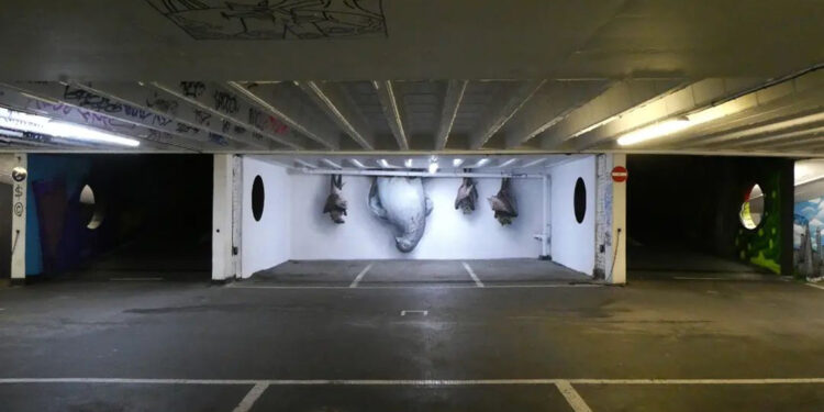 Bats and Dove By Irony
