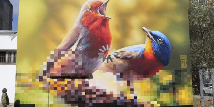 Birds By LexusOne