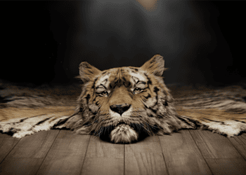Save Wild Tigers  — Ray The Rug By Worth Your While