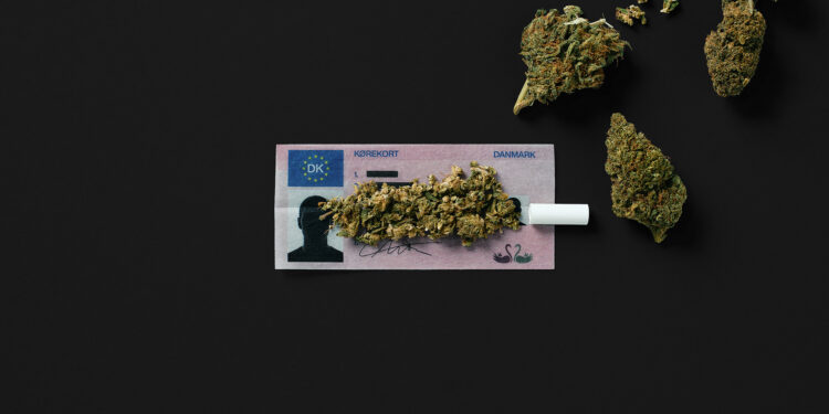 Rådet for Sikker Trafik — Drivers’ Licences Rolling Papers By Worth Your While