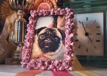 RSPCA — RESPECT #ForEveryKind By AMV BBDO