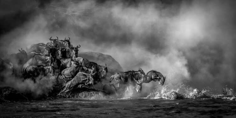 World Nature Photography Awards 2022