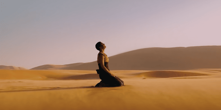 The Most Beautiful Shots In Movie History By The Solomon Society