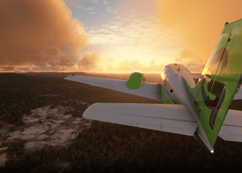 Greenpeace — A flight Simulator Game To Protect The Forest