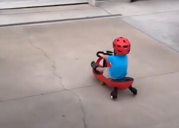 Toyota — Kids By DAVID, São Paulo