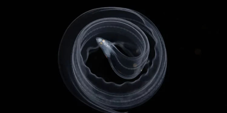 Nature Photography Contest Winners 2023