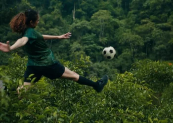 WWF —  Team Forest