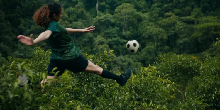 WWF —  Team Forest