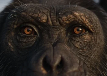 Royal Ontario Museum — Nature’s Symphony By Broken Heart Love Affair