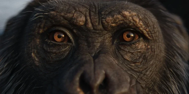 Royal Ontario Museum — Nature’s Symphony By Broken Heart Love Affair