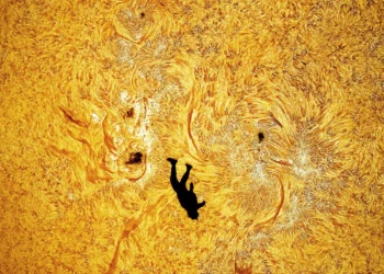 Skydiver in Front of the Sun By Andrew McCarthy