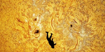 Skydiver in Front of the Sun By Andrew McCarthy