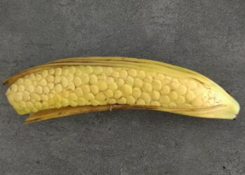 Artwork By Banana Bruiser