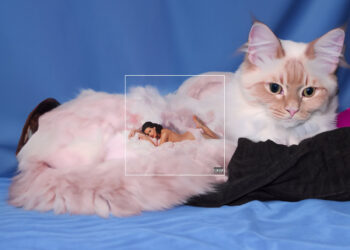 Photoshop Generative Fill By Alexander Dobrokotov