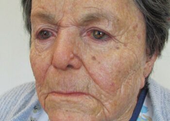 Chewing Mechanism Robot By John Criswell