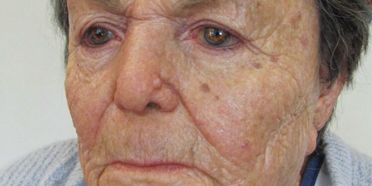 Chewing Mechanism Robot By John Criswell