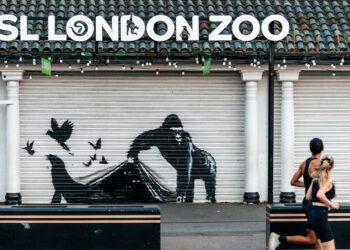 Animals By Banksy