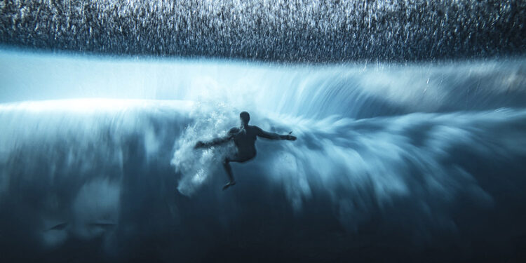 Ocean Photographer of the Year winners 2022
