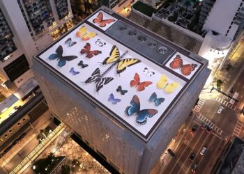 Butterfly Murals By Mantra