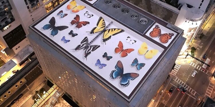 Butterfly Murals By Mantra