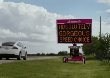 Lemonade Car Insurance — The Slow Sign