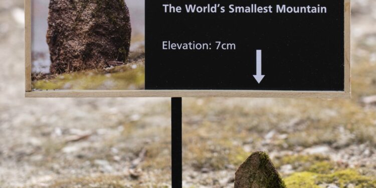 Miniature Art By Michael Pederson