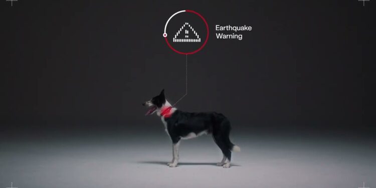 Animal Alerts By PetPace