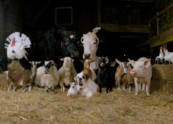 The Farm Family By Rob Macinnis