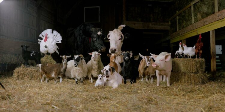 The Farm Family By Rob Macinnis