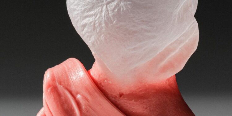 Bubblegum Photographed By Suzanne Saroff