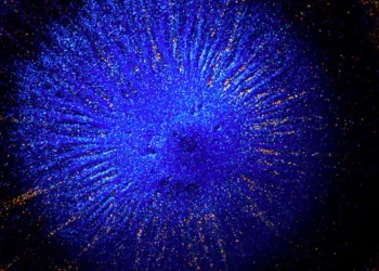 Creation By Vadim Sherbakov