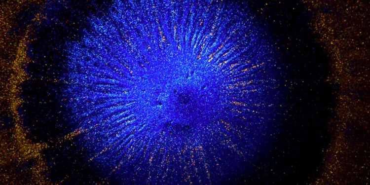 Creation By Vadim Sherbakov