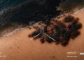World Melanoma Day – Some disasters can be prevented By Malditos Agency