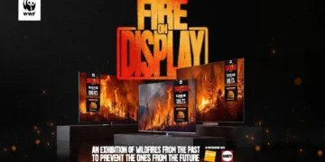 WWF – Fire On Display